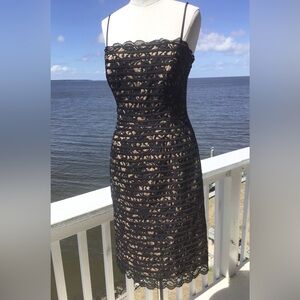 JS collection dress size 8